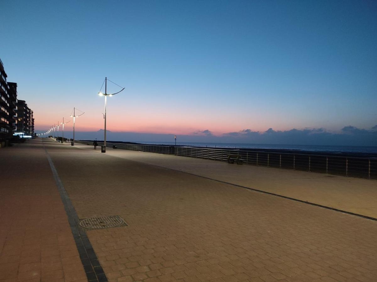 Zilverzand Aan Zee - Frontaal Zeezicht Koksijde Zewnętrze zdjęcie
